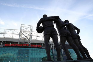 od体育官网登录网址-欢呼声和呐喊声在球场上传扬：运动激情点燃心灵